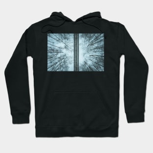 Road through winter forest Hoodie